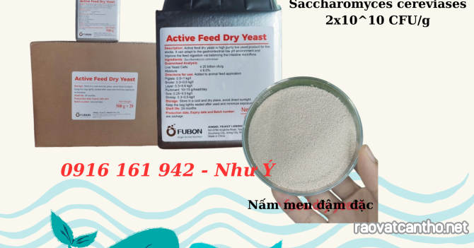 ACTIVE FEED FRY YEAST – Nấm men Saccharomyces cerevisiae khô hoạt tính đậm đặc