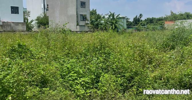 Bán đất 3395m2 full thổ cư giá 115 tỷ Đường 12m Võ Thị Liễu