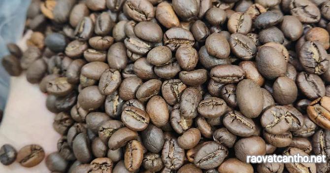 Bạn Muốn Mua Cà Phê Sạch Cho Quán? Xem Ngay!