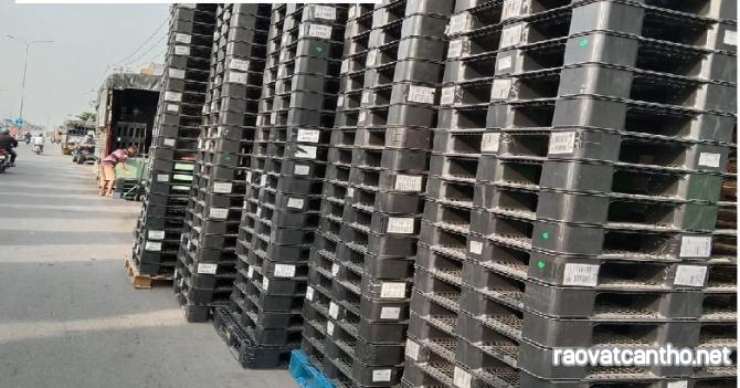Bán pallet nhựa tại Bình Dương giá sỉ cạnh tranh nhất thị trường