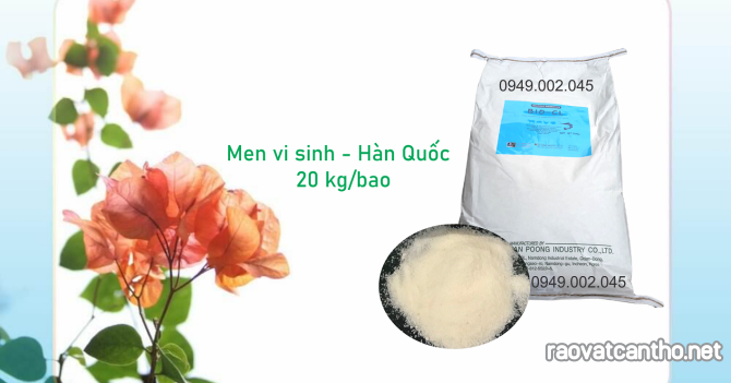 BIO CL - Vi sinh dạng bột giúp hấp thu Nito, làm giảm NH3