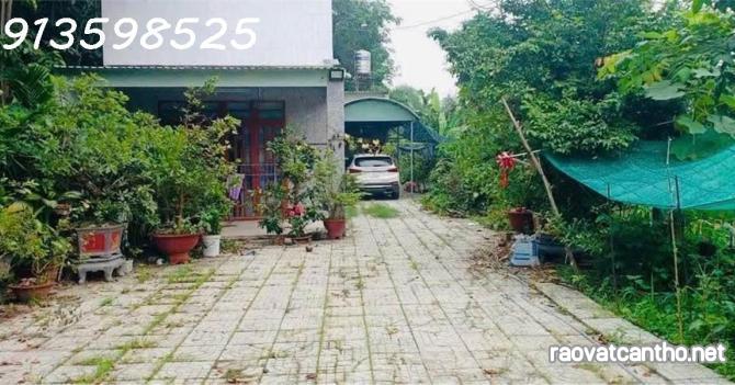 Cần chuyển chỗ ở, bán nhanh lô đất 1500m2, 280 tr, cây trái đầy đủ, 1 nhà cấp 4