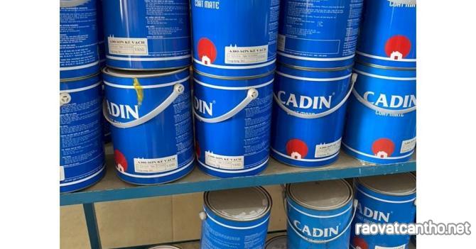 Cửa hàng bán sơn chống rỉ Cadin A101 màu đỏ,xám chống rỉ cho sắt thép chính hãng giá rẻ