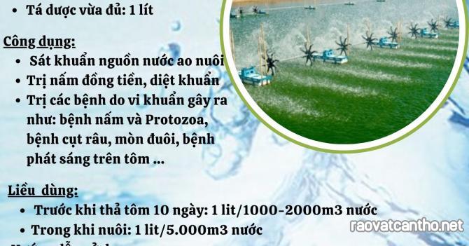 DIỆT KHUẨN – TRỊ NẤM ĐỒNG TIỀN  Sát khuẩn ao nuôi BAO 5KG