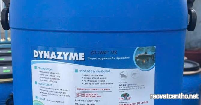 enzyme cho ăn tổng hợp Dynazyme Ấn Độ