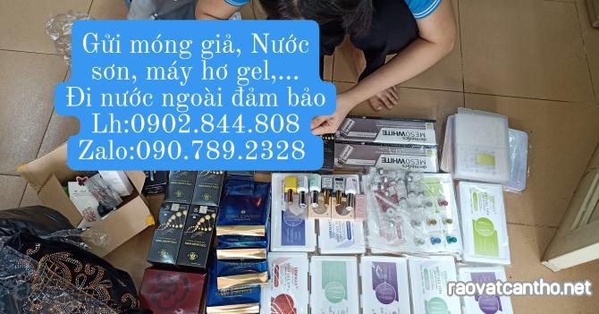 Gửi cây thông Noel đi Mỹ, Úc, Canada nhanh chóng tiết kiệm