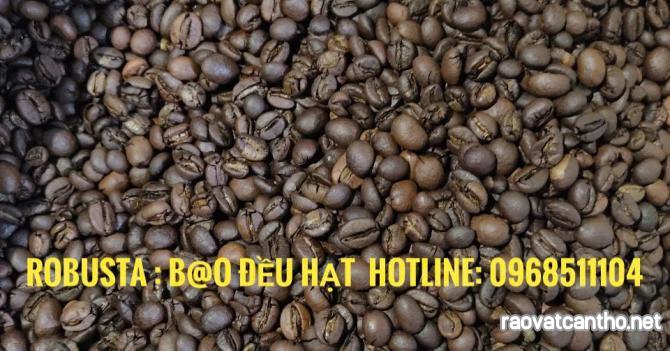 Khám Phá Hương Vị Cà Phê Nguyên Chất Đích Thực - Nâng Tầm Doanh Nghiệp Của Bạn!