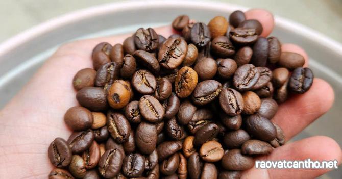 Khởi Đầu Ngày Mới Trọn Vẹn Với Một Tách Cà Phê Nguyên Chất Chuẩn Vị! ☕