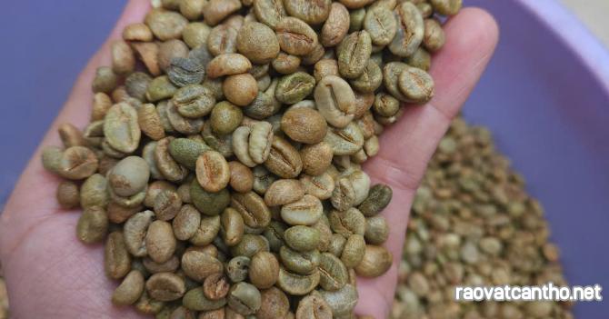 Khởi Đầu Ngày Mới Trọn Vẹn Với Một Tách Cà Phê Nguyên Chất Chuẩn Vị! ☕