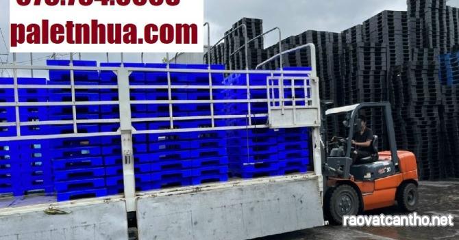 Mẫu pallet nhựa cũ Bình Dương phù hợp mùa cuối năm