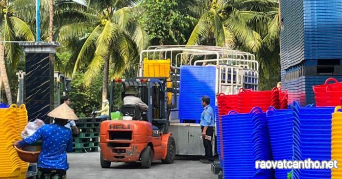 Mẫu pallet nhựa cũ Bình Dương phù hợp mùa cuối năm