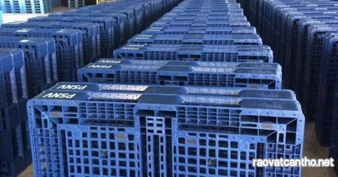 Mẫu pallet nhựa Vĩnh Long được mua nhiều nhất năm 2025