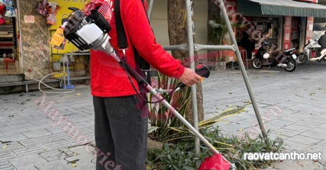 Máy cắt cỏ vai chạy xăng 4 thì Cali CL35 đỏ giá rẻ