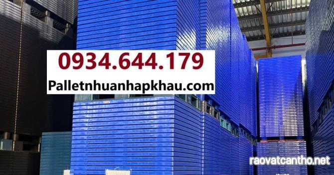 Pallet nhựa Bà rịa Vũng Tàu và những ứng dụng cho nhà kho