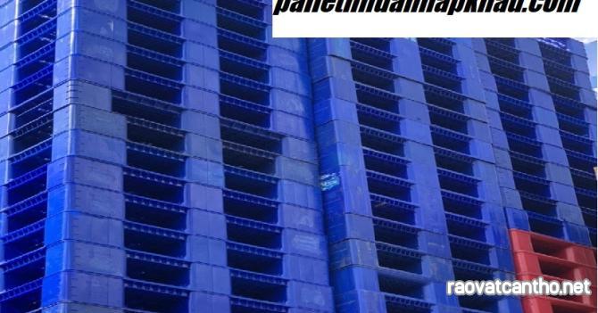 Pallet nhựa Bến Tre thanh lý giá rẻ toàn quốc