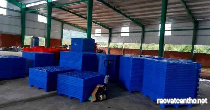 Pallet nhựa Long An giá rẻ giao hàng tận nơi