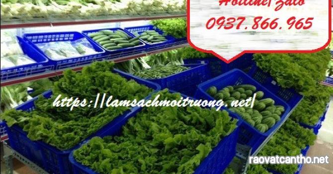 Sọt nhựa rỗng, sọt nhựa công nghiệp, sọt đựng rau củ, sọt nhựa, sọt đựng thực phẩm