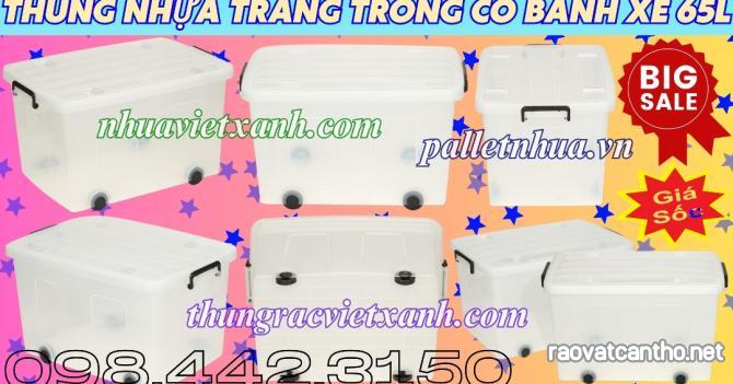 Thùng trong 65 lít AS6550