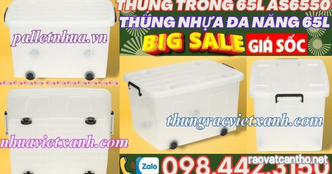 Thùng trong 65L AS6550