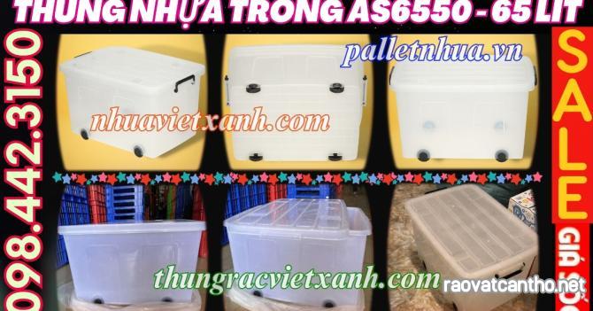 Thùng trong 65L AS6550