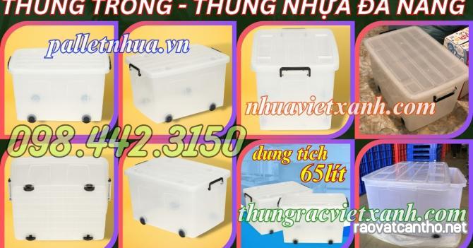 Thùng trong 65L AS6550