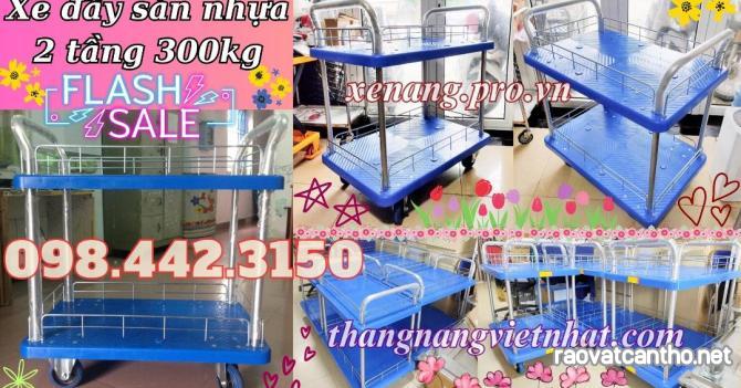 Xe đẩy hàng 2 tầng sàn nhựa 300kg