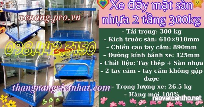 Xe đẩy hàng 2 tầng sàn nhựa 300kg