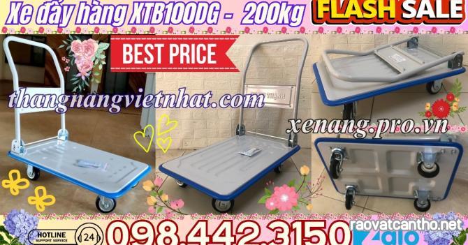 Xe đẩy hàng 200kg XTB100DG