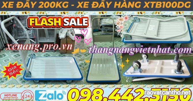 Xe đẩy hàng 200kg XTB100DG