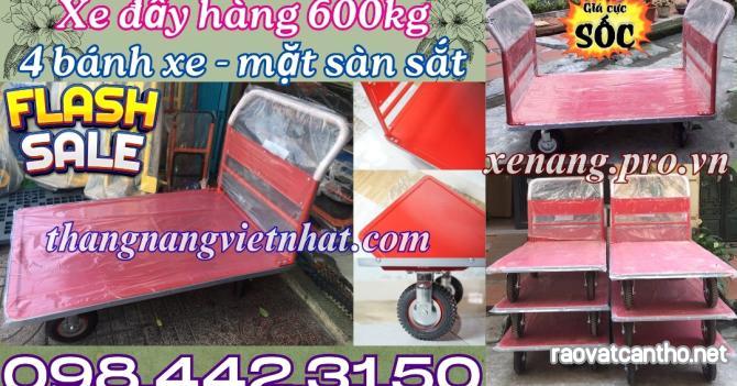 Xe đẩy hàng 600kg XTH250S1 - XTH250S2