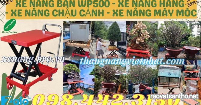 Xe nâng mặt bàn WP500 tải 500kg nâng cao 900mm