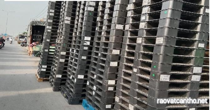 Xu hướng sử dụng pallet nhựa TP.hcm tại kho bãi