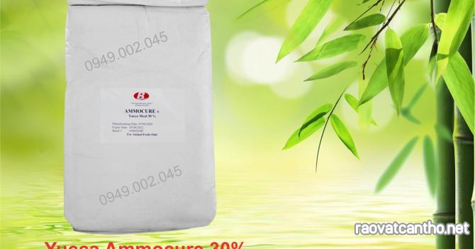Yucca Ammocure 30 - Yucca nguyên liệu hấp thu khí độc ao nuôi
