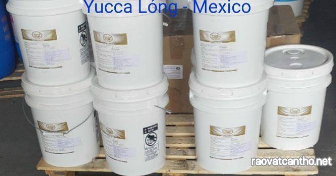 Yucca lỏng Hấp thu khí độc, xử lý mùi hôi trong ao nuôi thủy sản