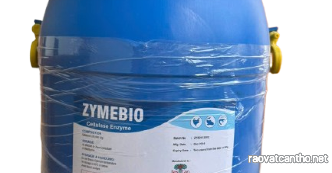 ZYMEBIO ENZYME XỬ LÝ TRIỆT ĐỂ GỐC RẠ, PHÂN HUỶ HỮU CƠ